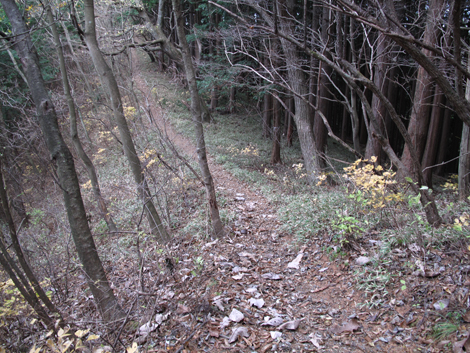 20171116hike (224)